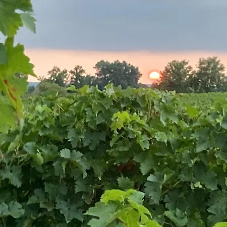 Chateau Cazevert - Harandailh 3* Blasimon